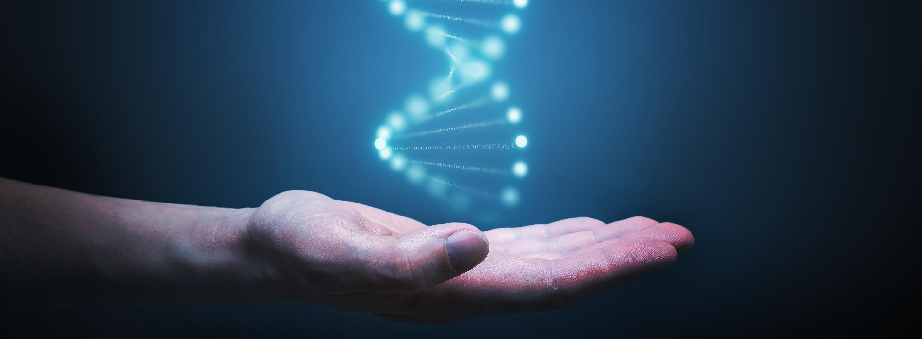 Badania genetyczne - jak się je wykonuje?