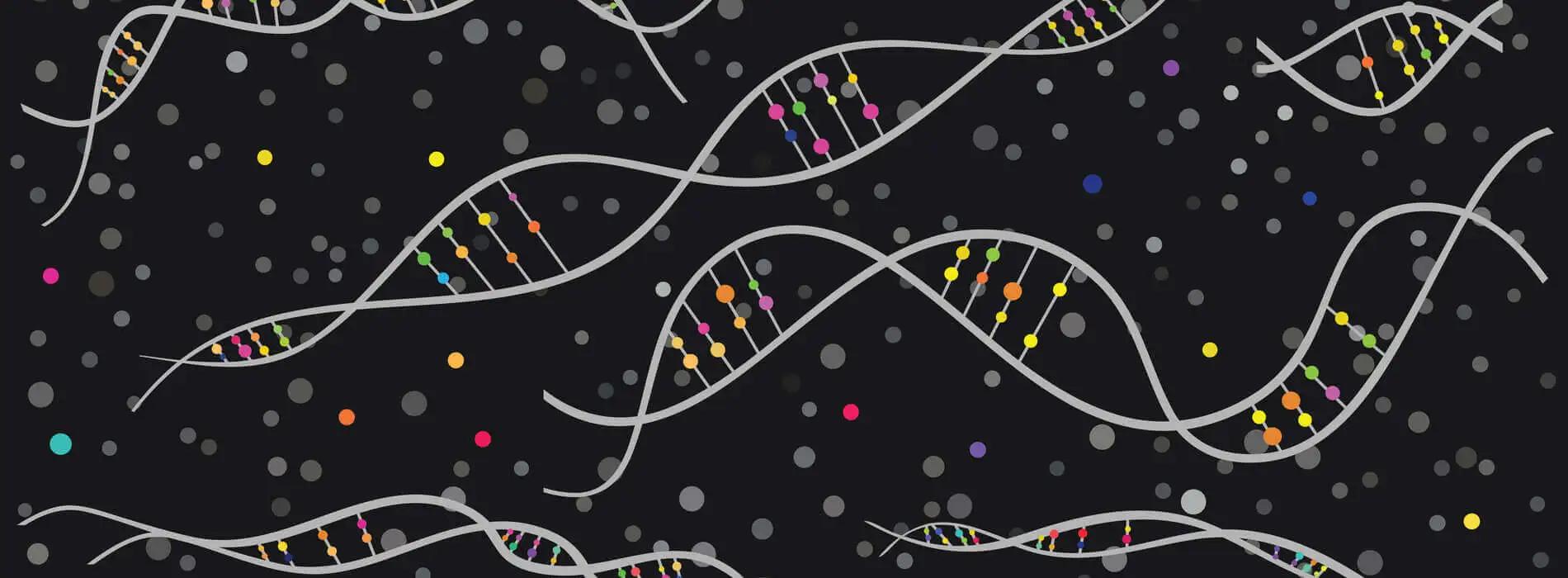 Sprawdź dla kogo polecane są badania DNA