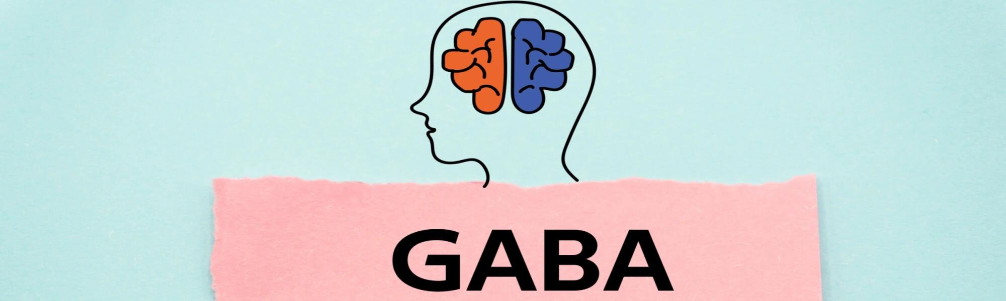 GABA (kwas gamma-aminomasłowy) - właściwości, niedobory, jak zwiększyć poziom najpotężniejszego neuroprzekaźnika?