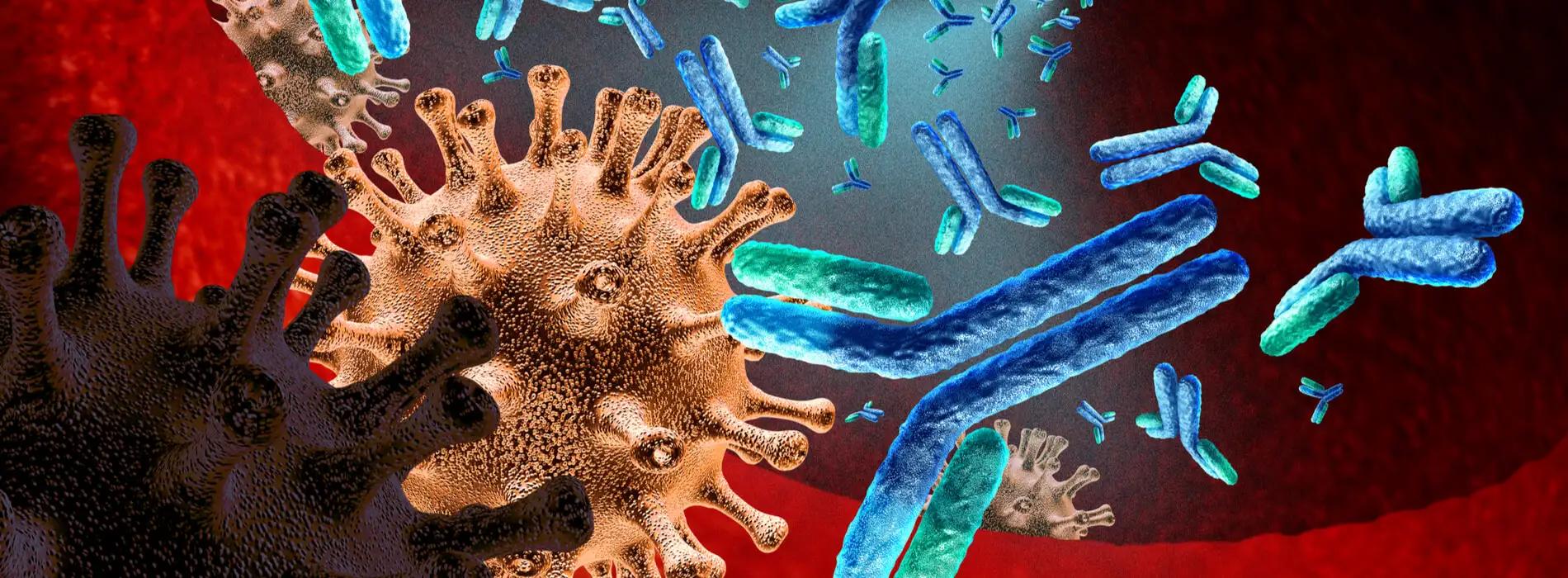 Sprawdź na Zdrowegeny.pl co to ją Immunoglobuliny IgG