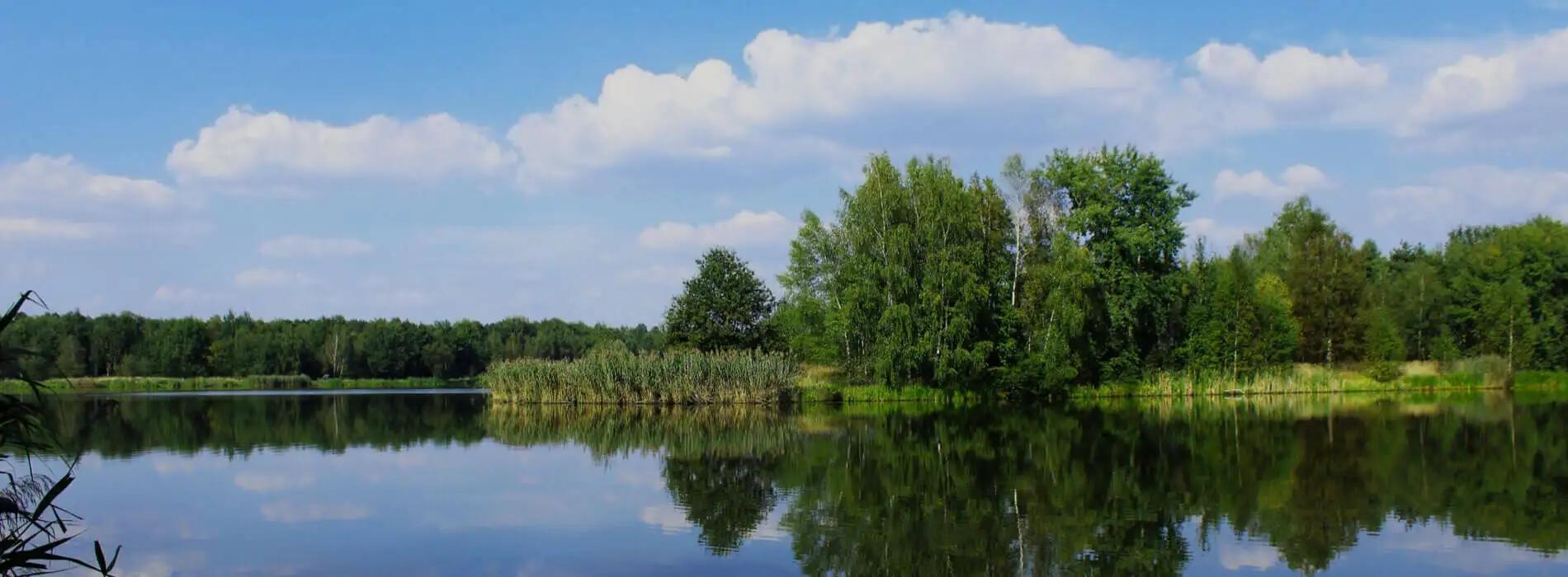 Kariotyp Tychy - gdzie wykonać badanie w Tychach?