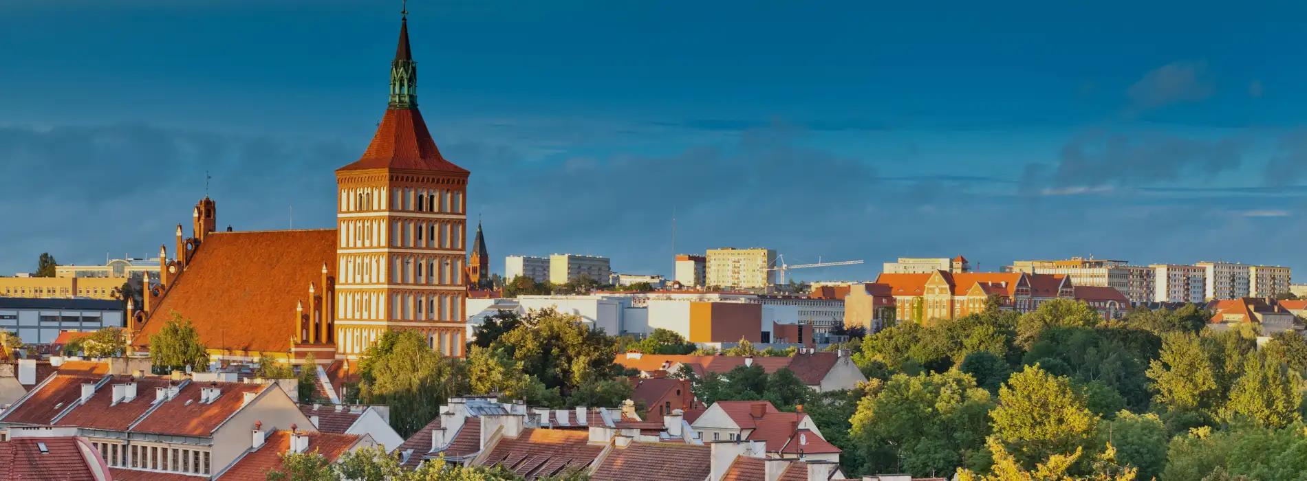 Testy na nietolerancje pokarmowe Olsztyn - gdzie wykonać?