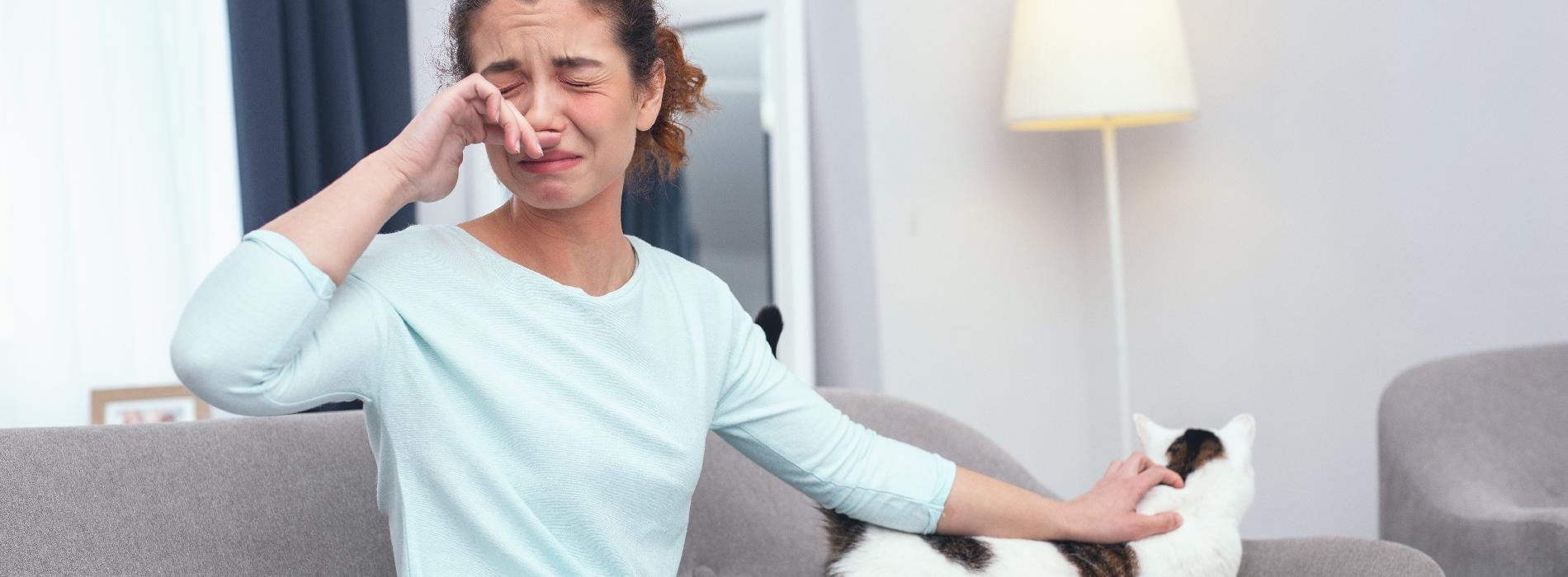 Alergia na kota - czy można sobie z nią poradzić?