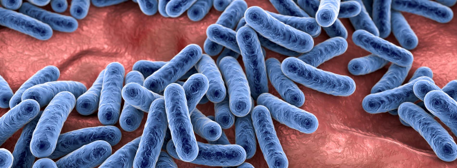 Dlaczego warto dbać o swój mikrobiom?