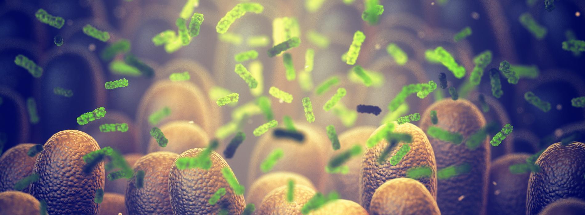 Mikrobiota i mikrobiom - jakie mamy bakterie w jelitach?
