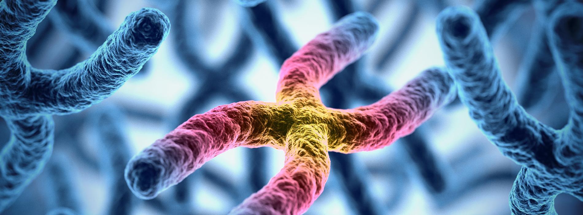 Zespół łamliwego chromosomu X - przyczyny, objawy, diagnostyka i leczenie