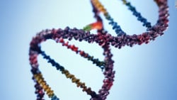 Badania genetyczne BRCA1 i BRCA2 - sposób na uniknięcie nowotworu