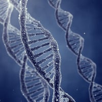 Ile kosztują testy DNA?