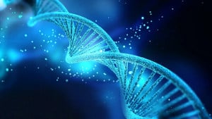 Ile kosztuje badanie DNA?