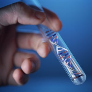 Predyspozycje genetyczne do rozwoju raka