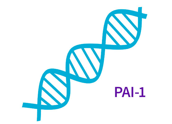 Zespół łamliwego chromosomu X - prescreening